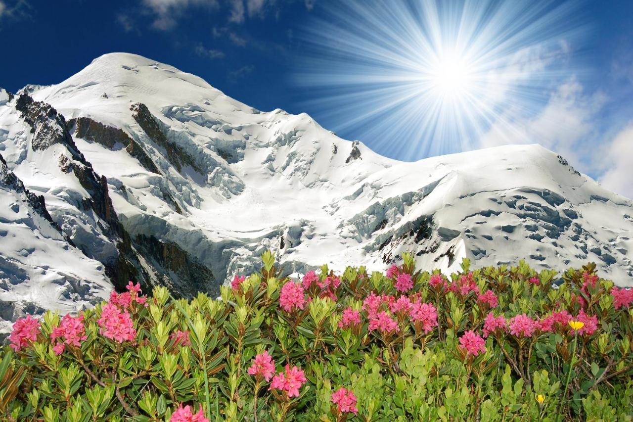 Appartement Beauregard 3 - Happy Rentals Les Houches Exteriör bild